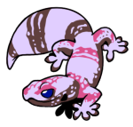 9229-Gecko-1-1-76-07031-06138-168.png