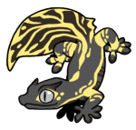 9269-Gecko-2-1-92-03107-02019-017.png