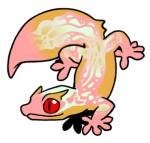 9280-Gecko-2-1-64-02166-01071-112.png