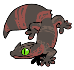9285-Gecko-2-1-58-07134-06164-135.png