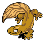9360-Gecko-1-1-91-03143-02111-102.png