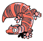 9616-Gecko-2-1-91-05126-04177-015.png