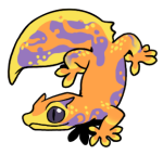 9629-Gecko-2-1-73-06105-05033-117.png