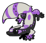 9675-Gecko-2-1-97-08034-07003-020.png
