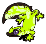 9676-Gecko-2-1-74-06140-05094-092.png