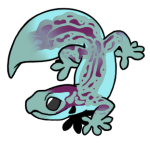 9751-Gecko-1-3-96-02070-01026-067.png