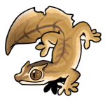 SP15-Gecko.png
