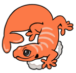 SP28-Gecko.png
