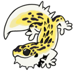 SP62-Gecko.png