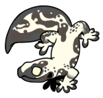 Test11-Gecko-1-3-38-06017-05134-001.png