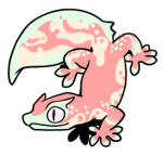 Test12-Gecko-2-1-05-06071-05002-166.png