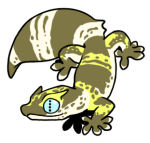Test14-Gecko-2-2-32-07100-06001-106.png
