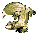 Test2-Gecko-2-2-26-01002-01101-097.png