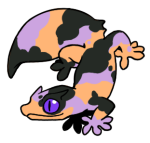 Test22-Gecko-2-1-67-11022-10032-118.png