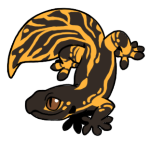 Test5-Gecko-1-4-47-03114-02019-019.png