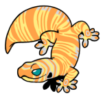 Test9-Gecko-1-1-45-05117-04005-107.png